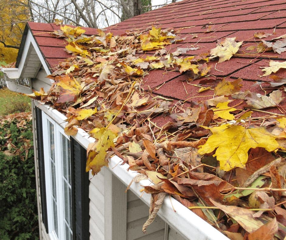Rental maintenance responsibilities split between owner and tenant